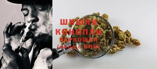 не бодяженный Няндома
