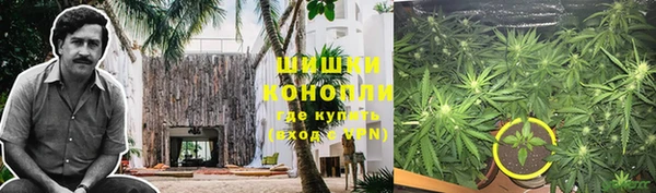 не бодяженный Няндома