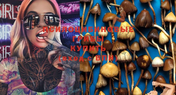 тгк Нязепетровск