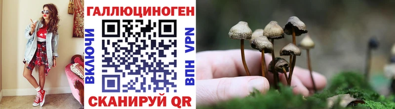 Псилоцибиновые грибы Cubensis  купить наркотики цена  блэк спрут   Ялта 