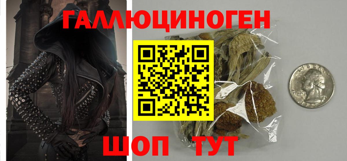Ялта  Галлюциногенные грибы Cubensis  Вход с VPN 